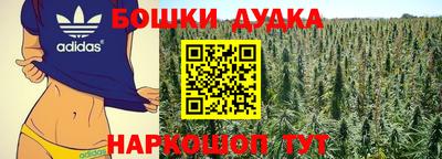 ГАЛЛЮЦИНОГЕННЫЕ ГРИБЫ Гусев