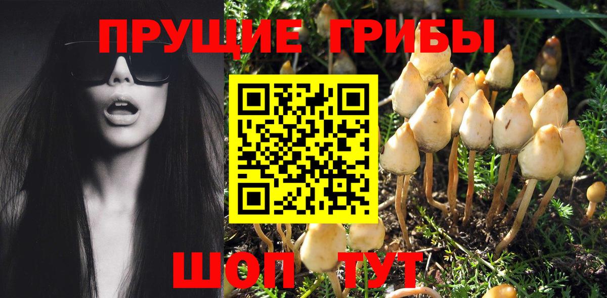 Галлюциногенные грибы GOLDEN TEACHER  Вход с VPN  Ялта  Псилоцибиновые грибы Psilocybine cubensis 